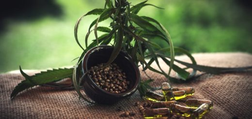 Logistika s vysokou hodnotou a vysokým rizikem