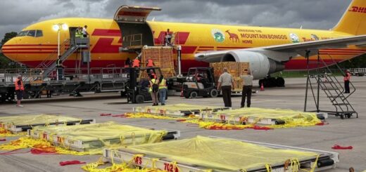 Mimořádné globální doručení nákladů