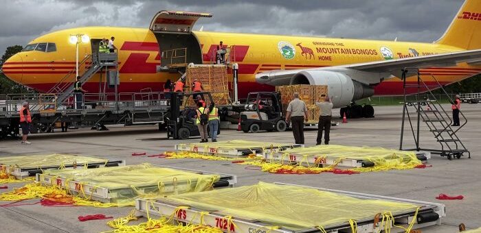 Mimořádné globální doručení nákladů