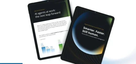 Zpráva o dopravním pulsu: bod zvratu