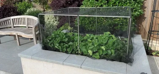 Ecommerce maloobchodník zvyšuje plnění objednávek