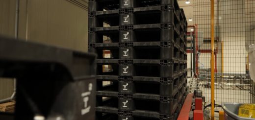 Nový kruhový paleta pro udržitelnou logistiku