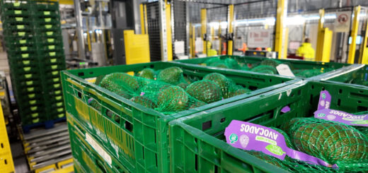 Bardon propojuje automatizaci s odolnou logistikou čerstvých potravin