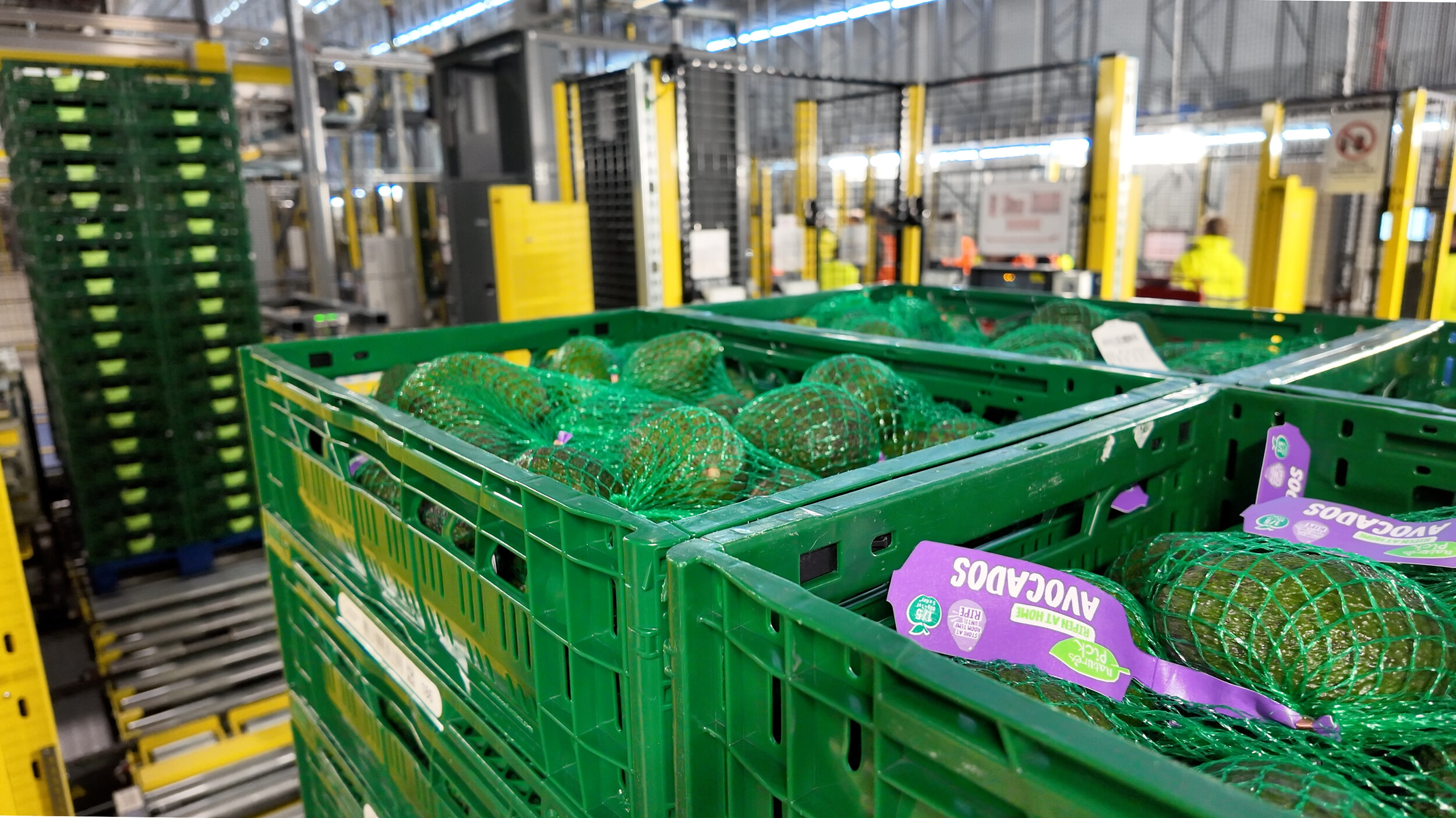 Bardon propojuje automatizaci s odolnou logistikou čerstvých potravin